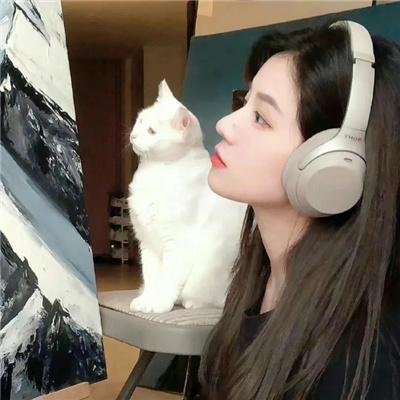 金阁山传奇
