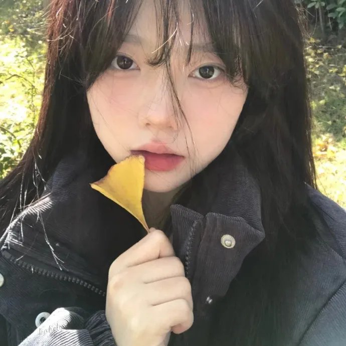 消失的收藏家
